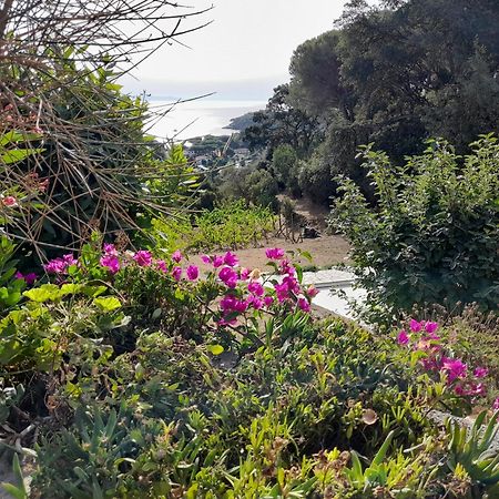 Villa Gualdo Piscina Vista Mare Capoliveri  Eksteriør bilde