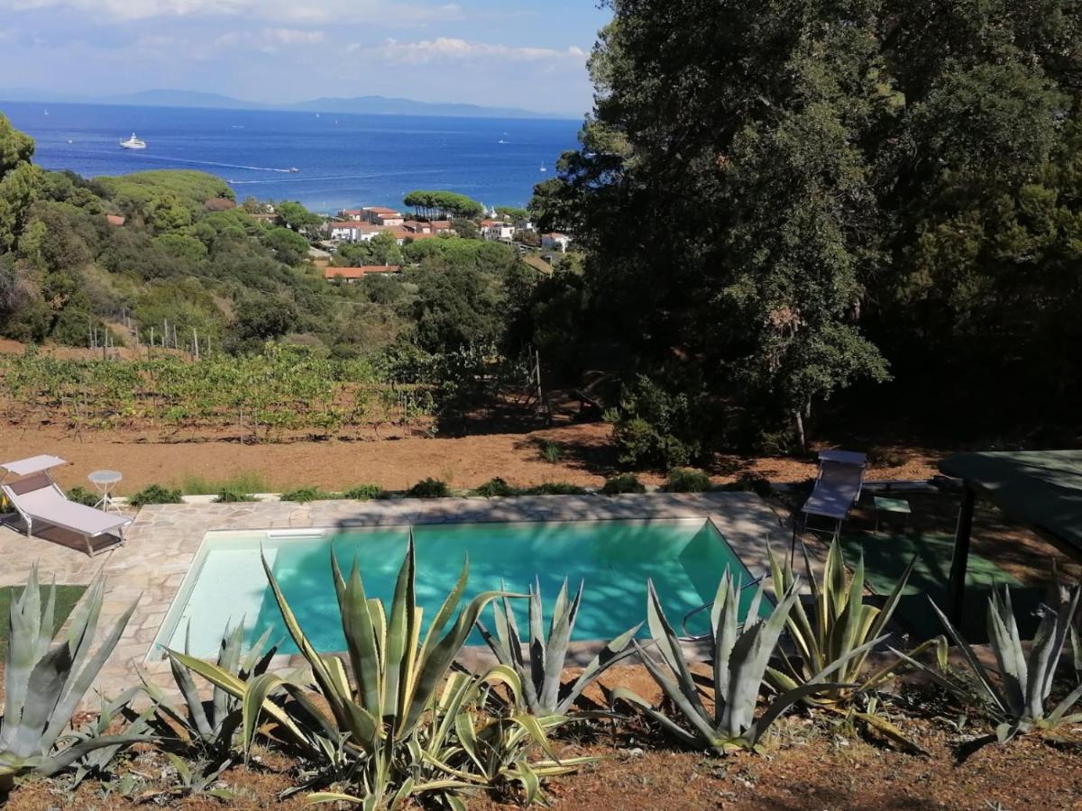Villa Gualdo Piscina Vista Mare Capoliveri  Eksteriør bilde
