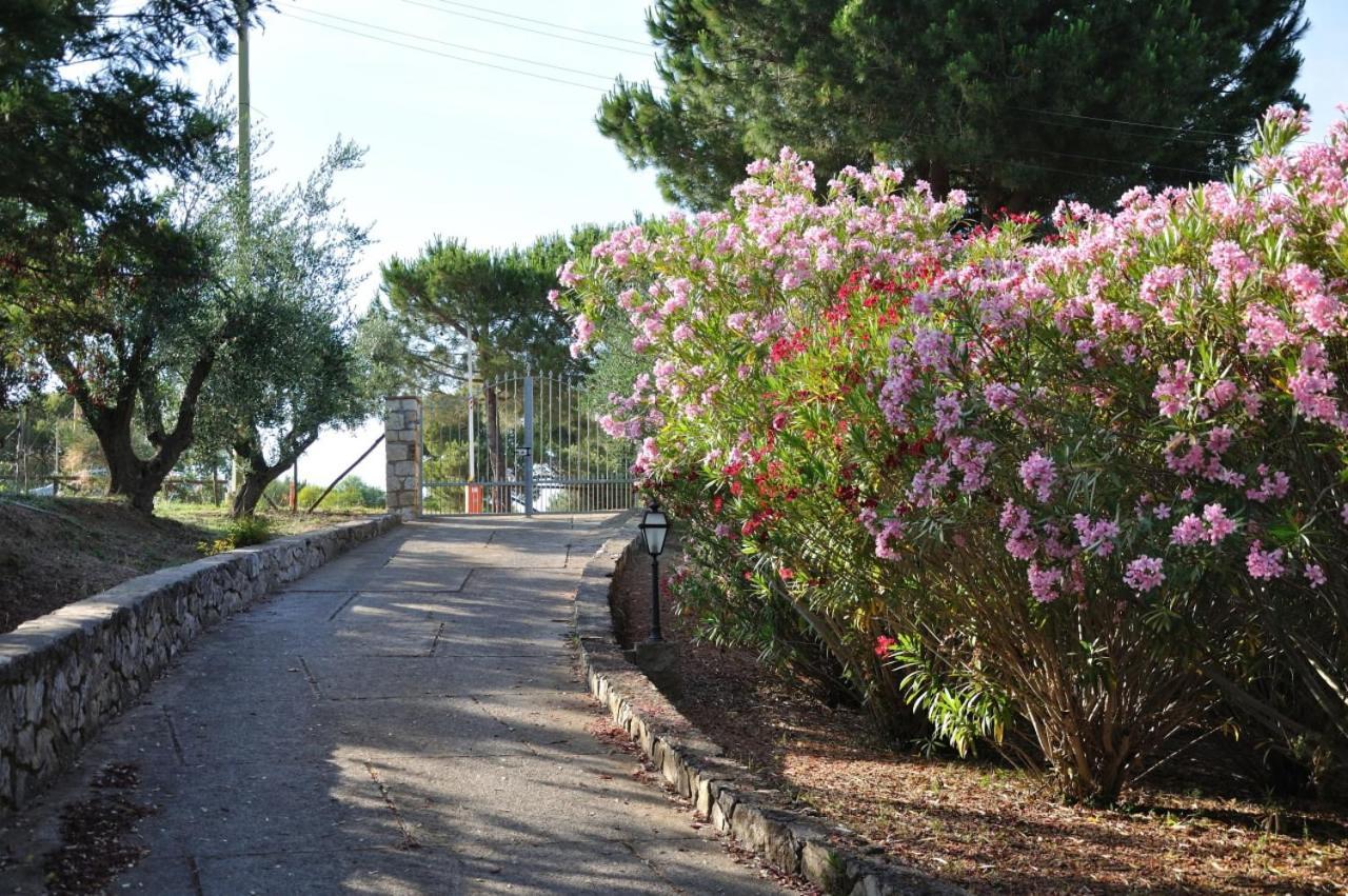 Villa Gualdo Piscina Vista Mare Capoliveri  Eksteriør bilde